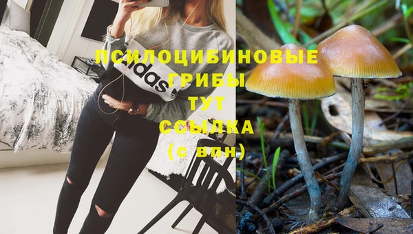apvp Дмитровск