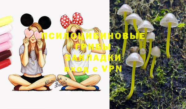 кристаллы Дмитров